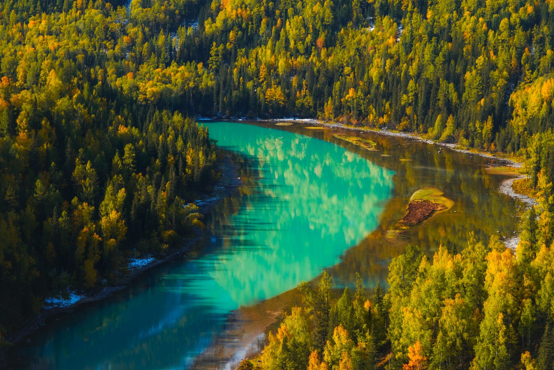 Turquoise Kanas River winding through golden autumn larch forest, Altai, Xinjiang